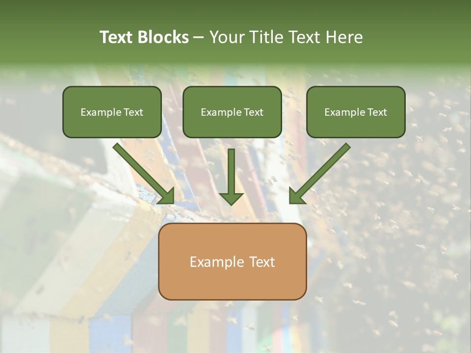 Many Approach Bush PowerPoint Template