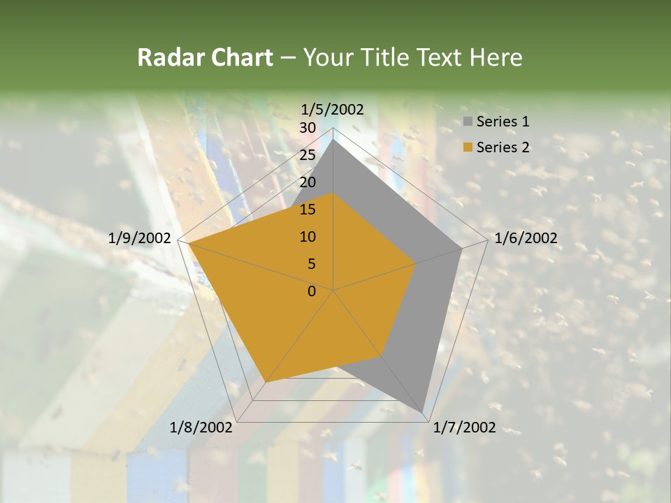 Many Approach Bush PowerPoint Template