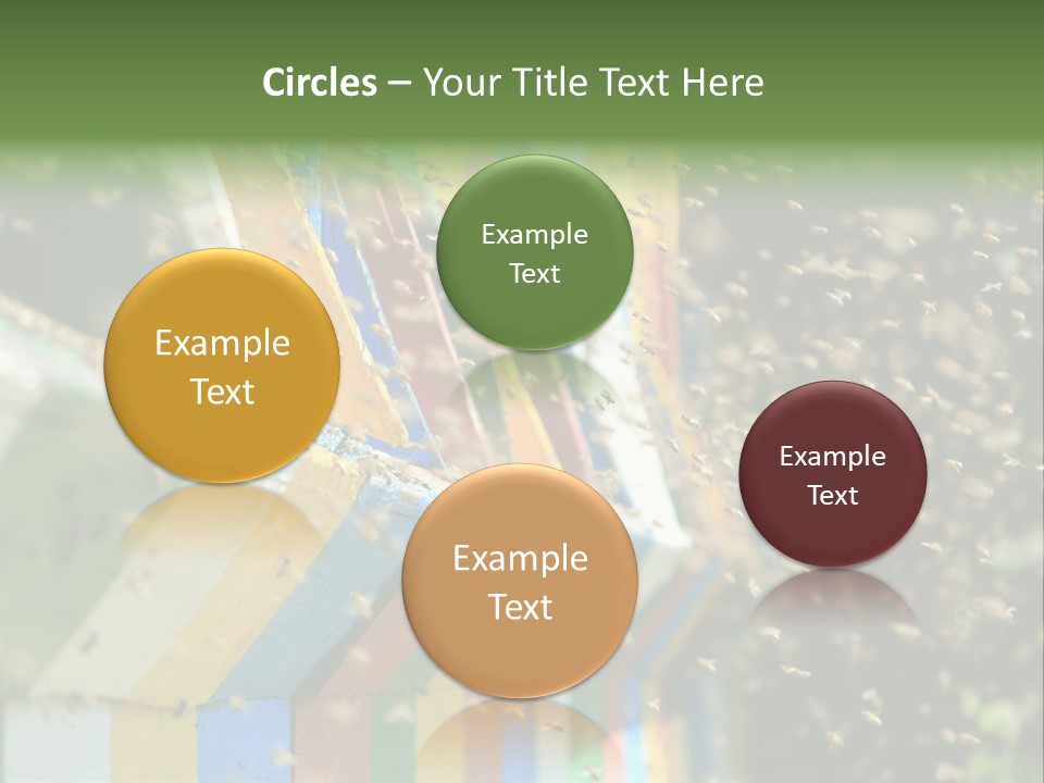 Many Approach Bush PowerPoint Template