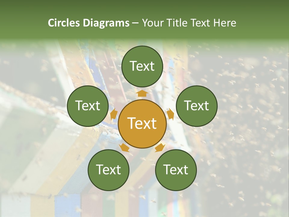 Many Approach Bush PowerPoint Template