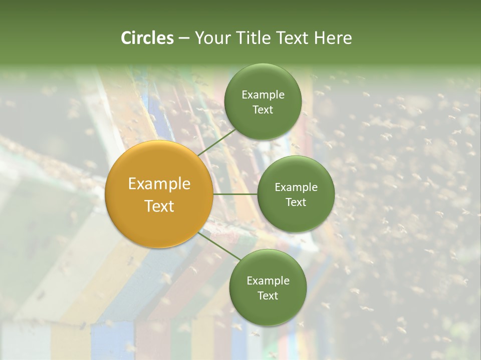 Many Approach Bush PowerPoint Template