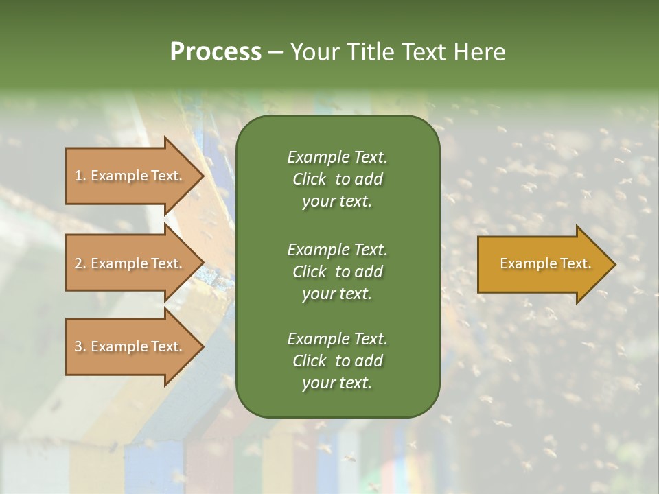 Many Approach Bush PowerPoint Template