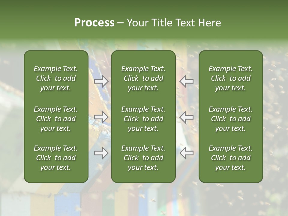 Many Approach Bush PowerPoint Template
