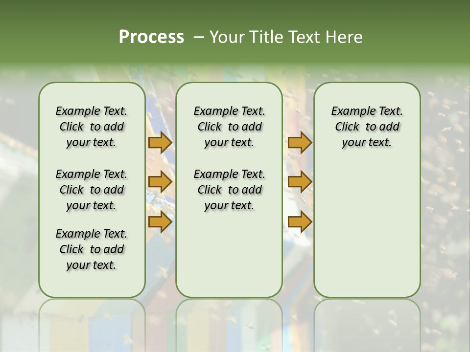Many Approach Bush PowerPoint Template