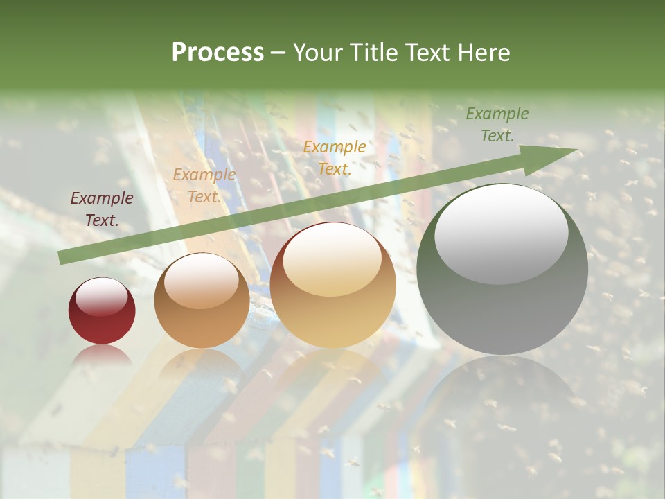 Many Approach Bush PowerPoint Template