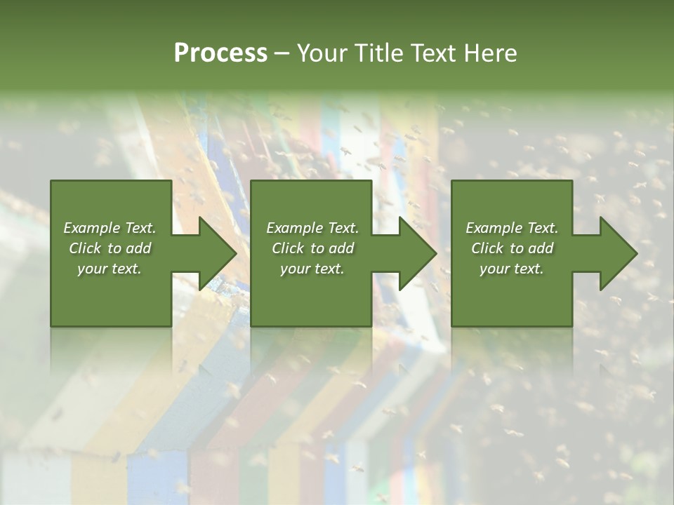 Many Approach Bush PowerPoint Template