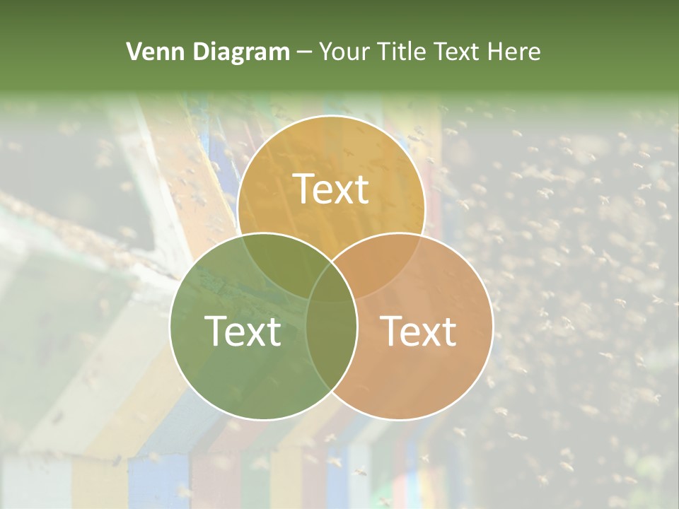 Many Approach Bush PowerPoint Template