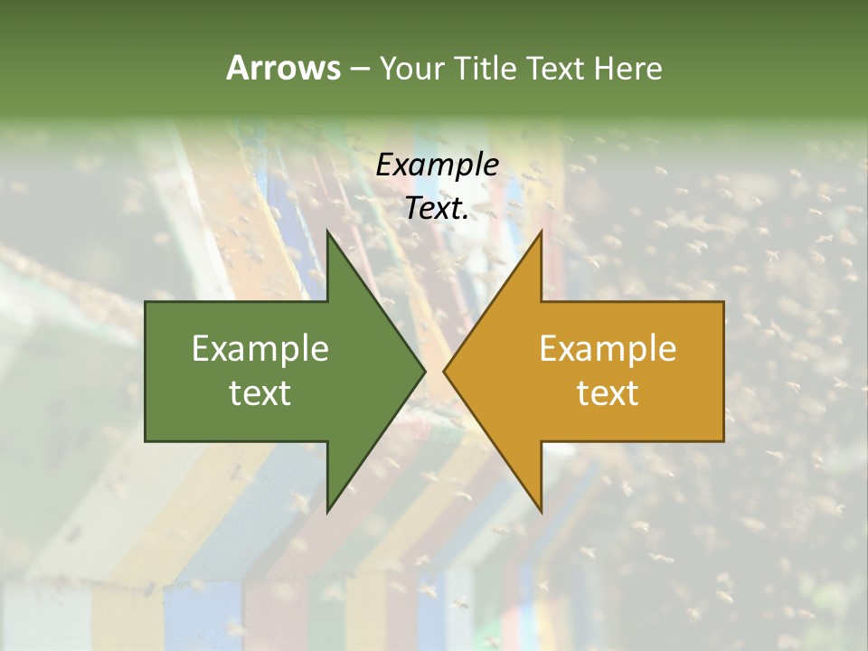 Many Approach Bush PowerPoint Template