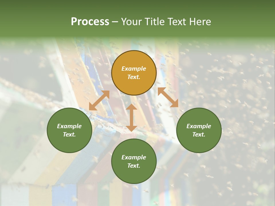 Many Approach Bush PowerPoint Template