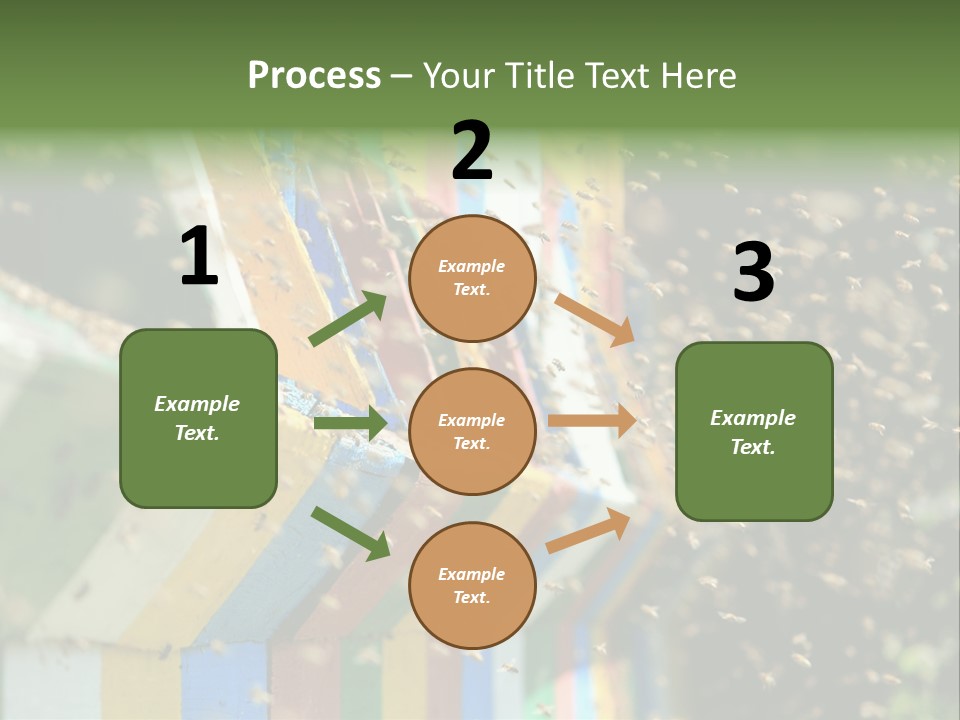 Many Approach Bush PowerPoint Template