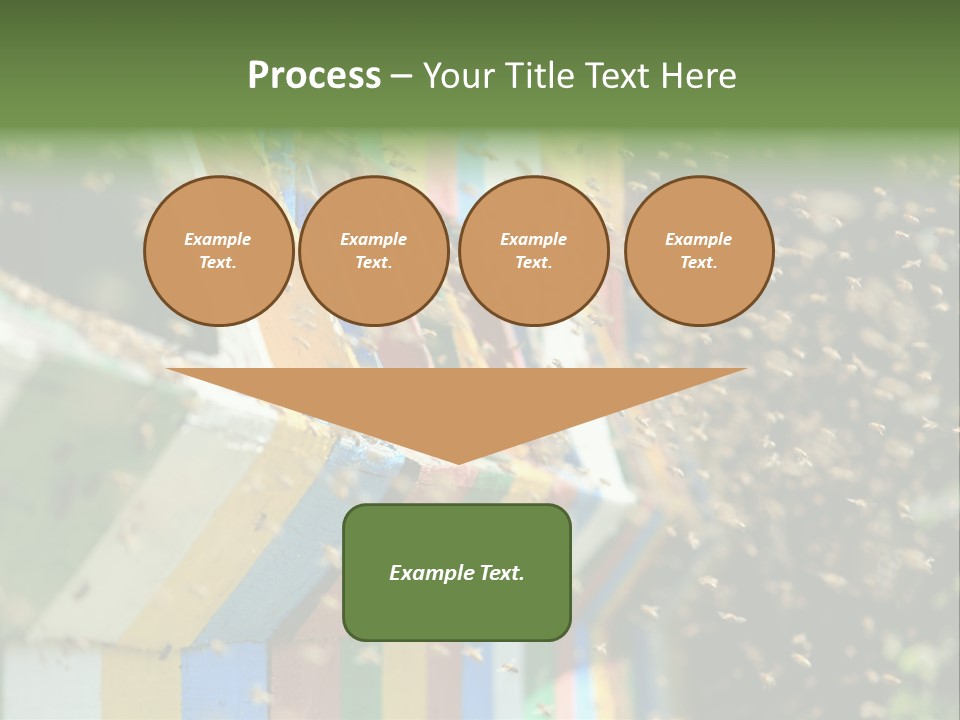 Many Approach Bush PowerPoint Template