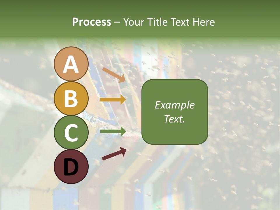 Many Approach Bush PowerPoint Template