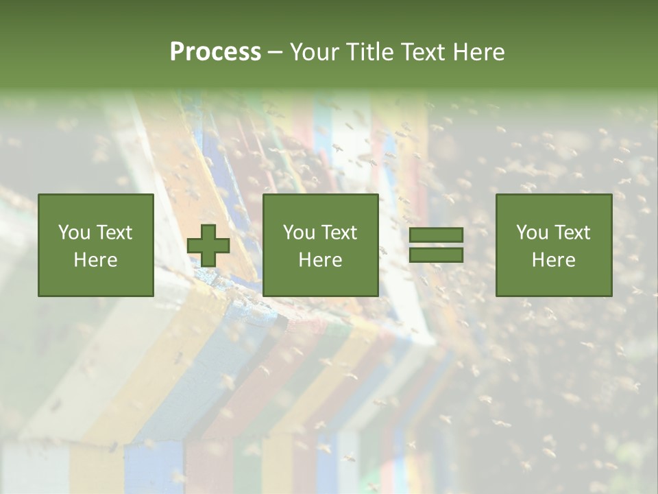 Many Approach Bush PowerPoint Template