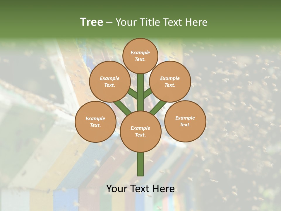 Many Approach Bush PowerPoint Template