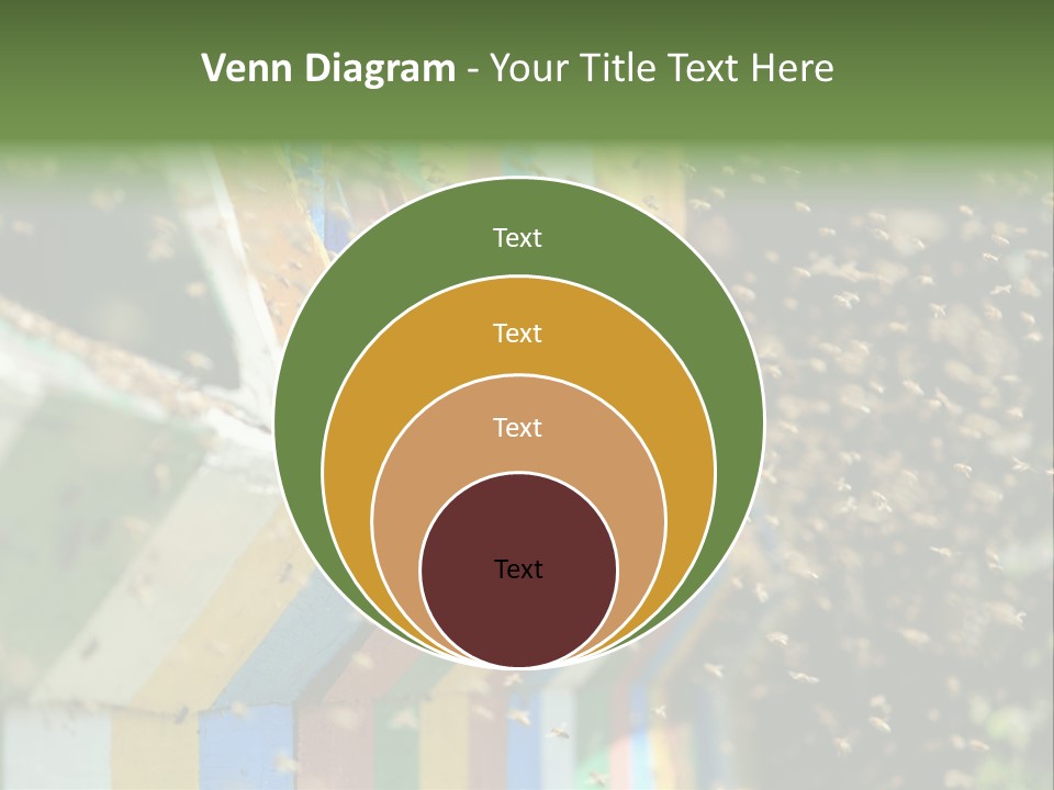 Many Approach Bush PowerPoint Template