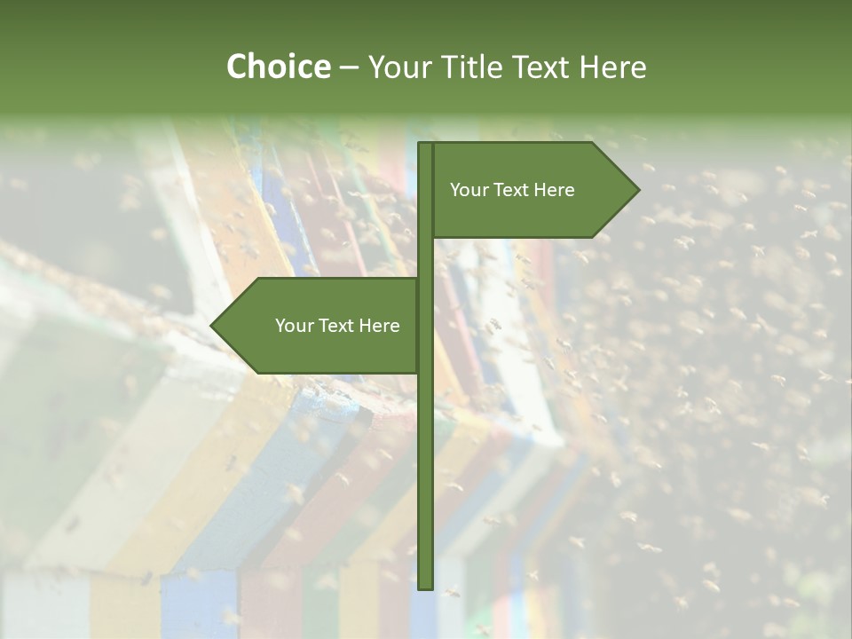 Many Approach Bush PowerPoint Template