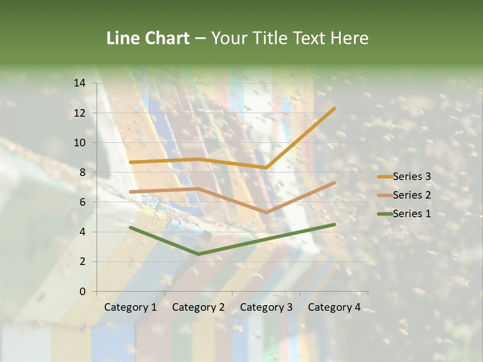 Many Approach Bush PowerPoint Template