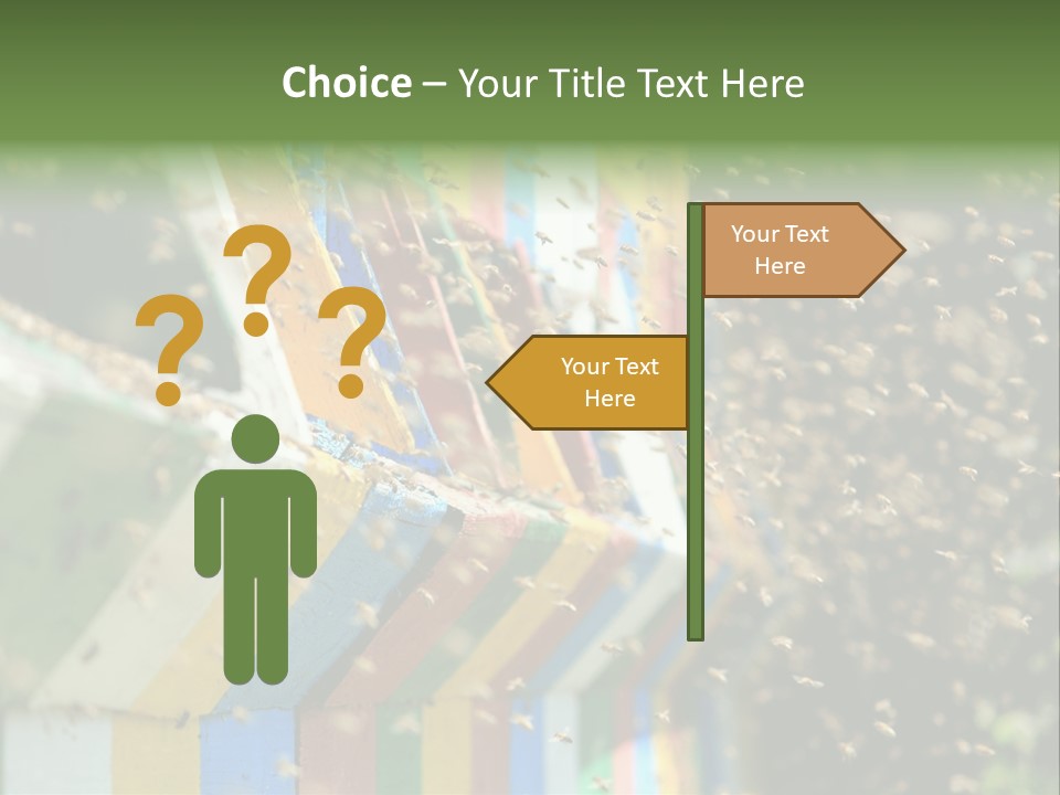 Many Approach Bush PowerPoint Template