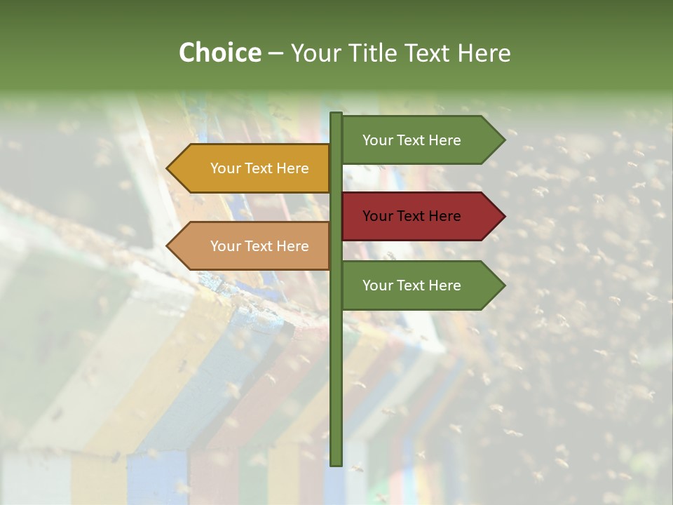 Many Approach Bush PowerPoint Template