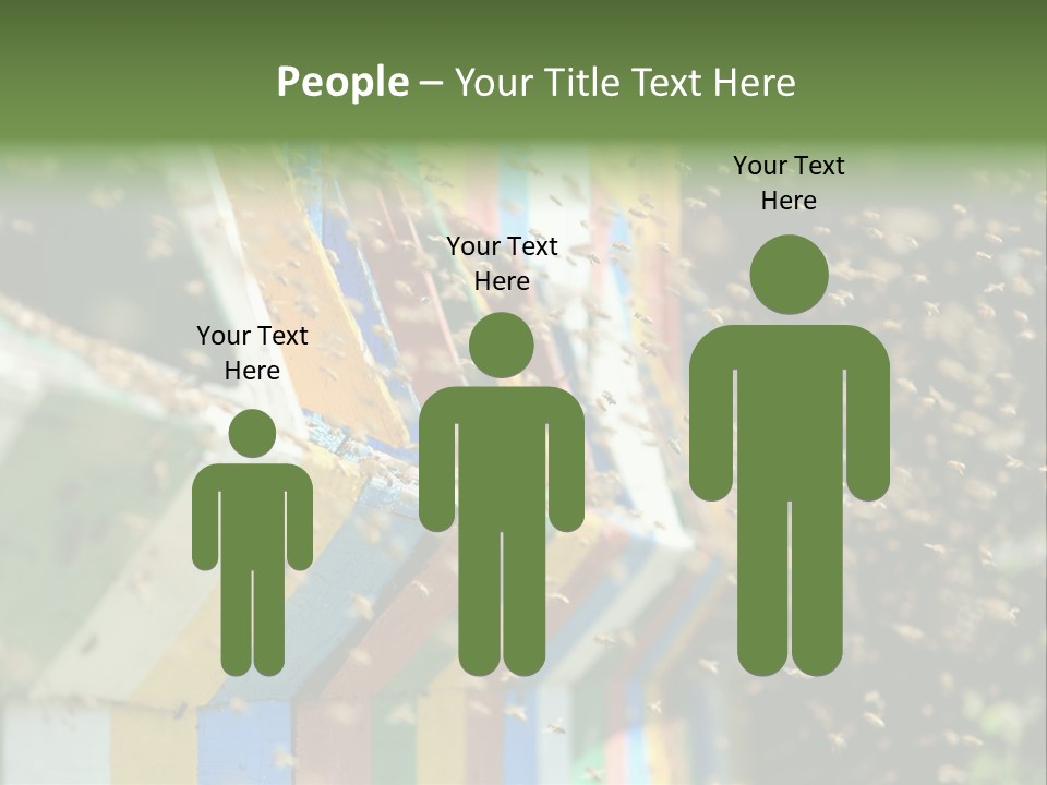 Many Approach Bush PowerPoint Template