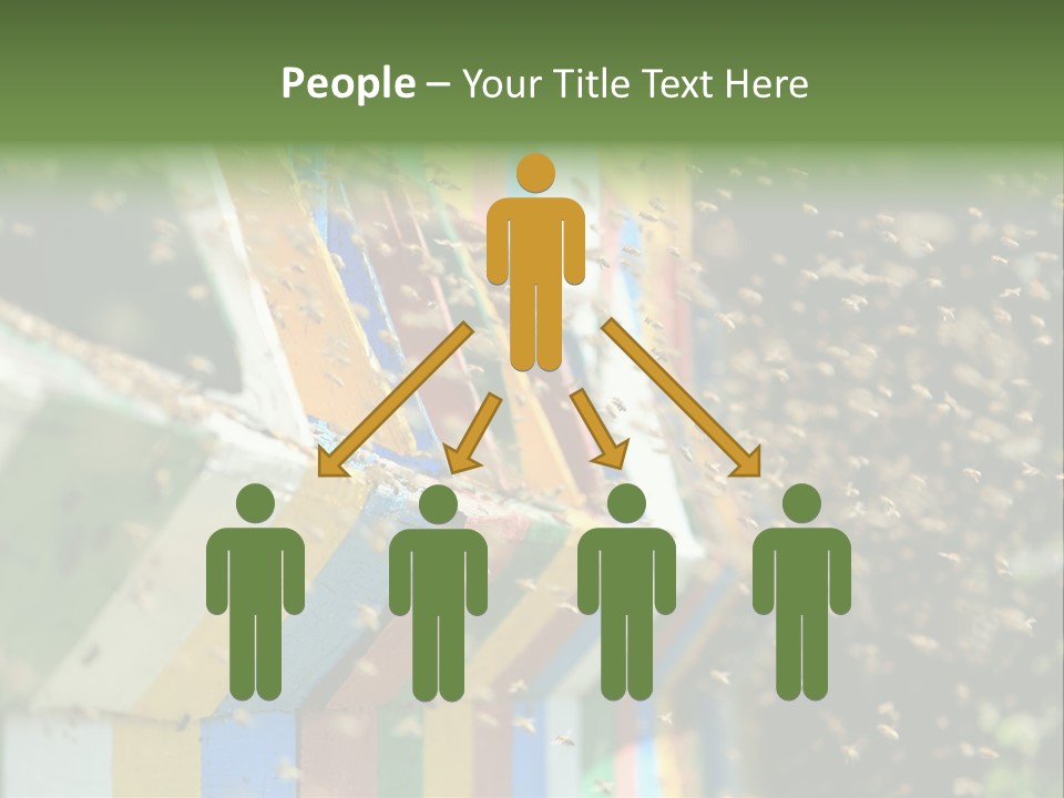 Many Approach Bush PowerPoint Template