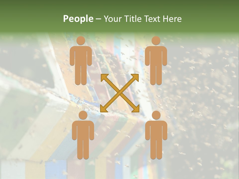 Many Approach Bush PowerPoint Template