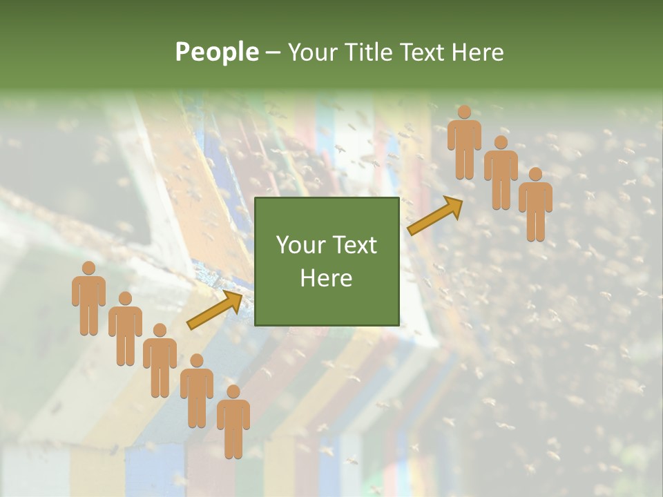 Many Approach Bush PowerPoint Template