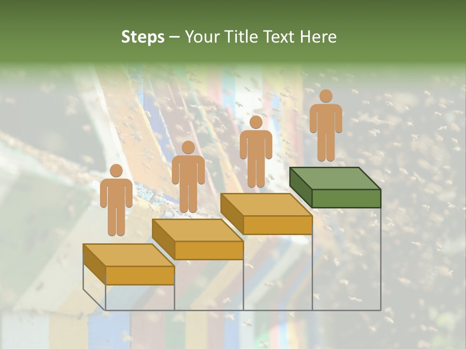 Many Approach Bush PowerPoint Template