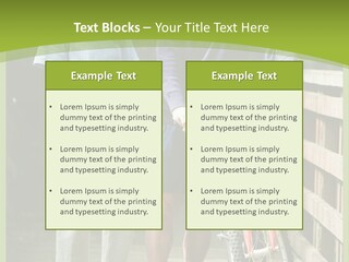 Female Elderly Retired PowerPoint Template
