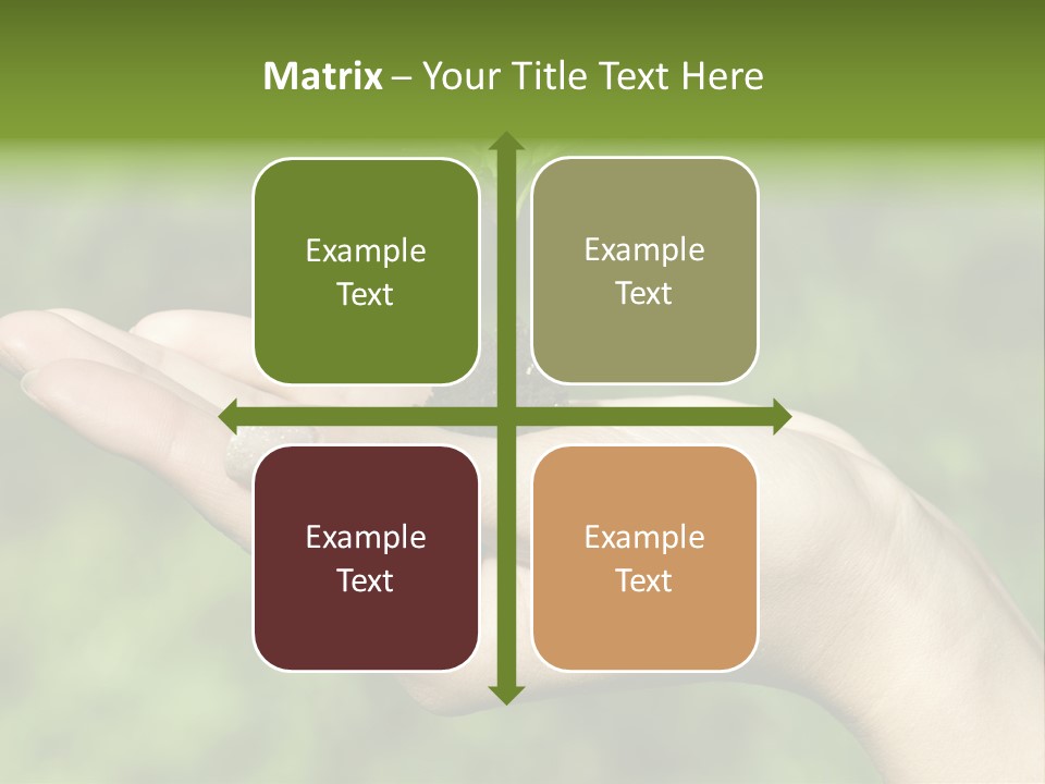 A Person Holding A Small Plant In Their Hand PowerPoint Template