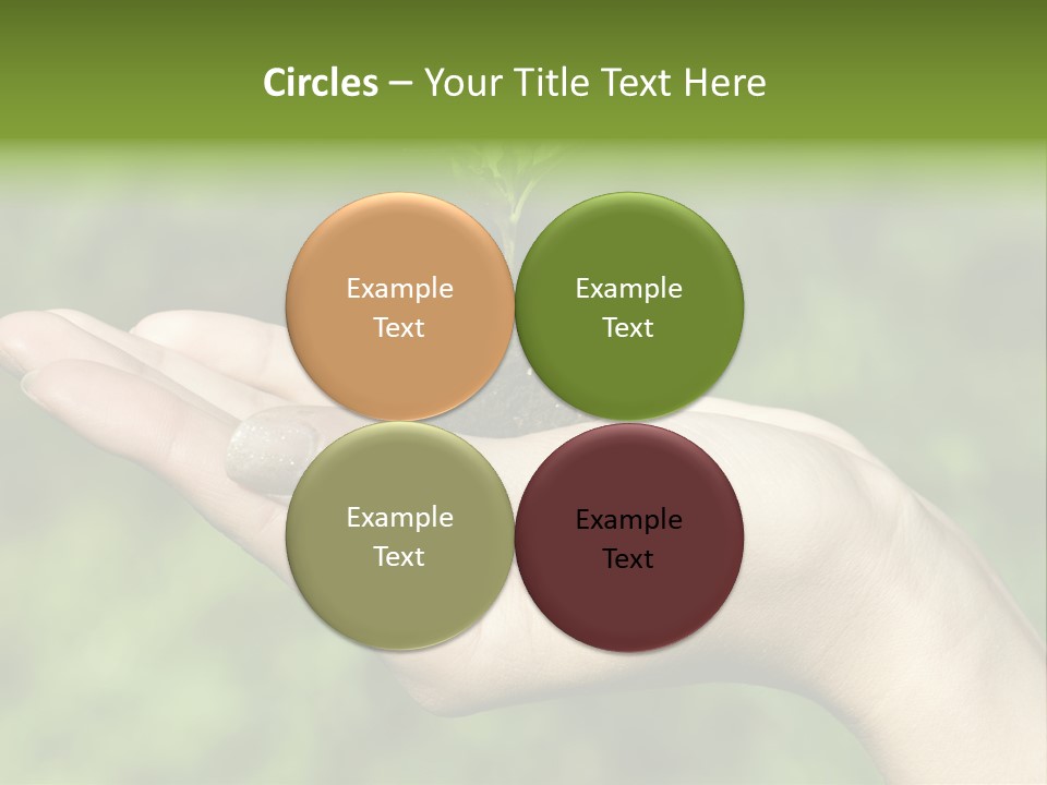 A Person Holding A Small Plant In Their Hand PowerPoint Template