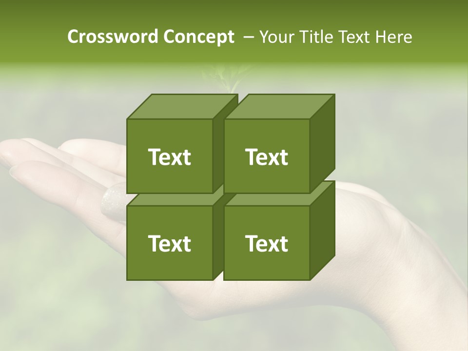 A Person Holding A Small Plant In Their Hand PowerPoint Template