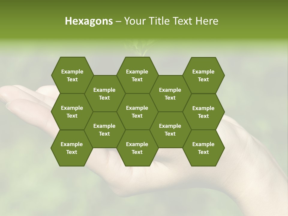 A Person Holding A Small Plant In Their Hand PowerPoint Template