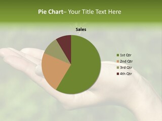 A Person Holding A Small Plant In Their Hand PowerPoint Template