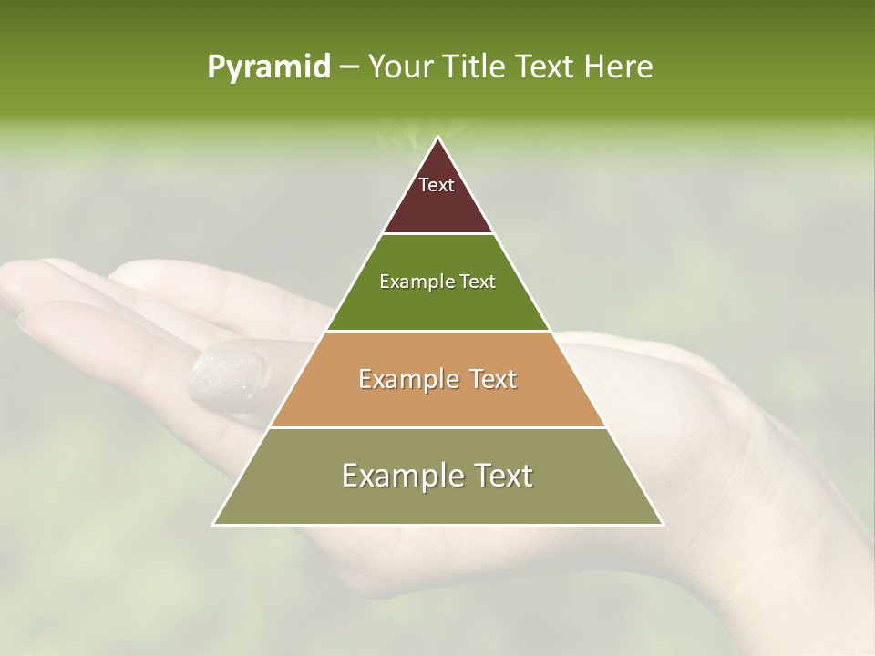 A Person Holding A Small Plant In Their Hand PowerPoint Template