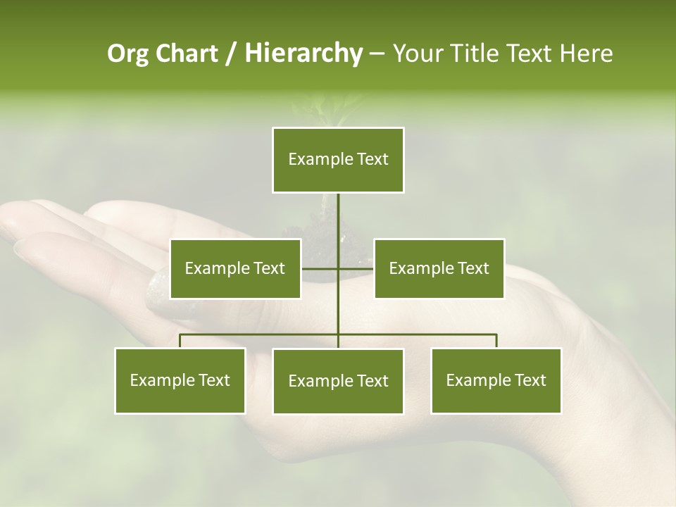 A Person Holding A Small Plant In Their Hand PowerPoint Template