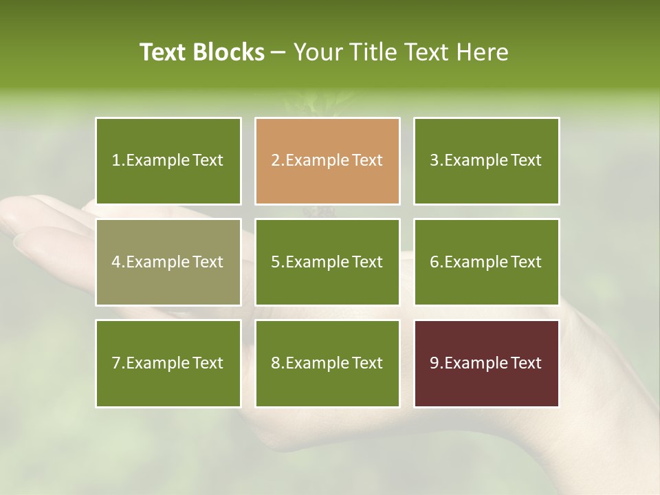 A Person Holding A Small Plant In Their Hand PowerPoint Template