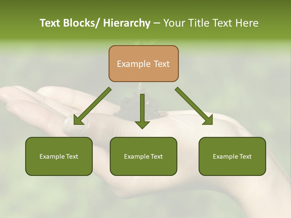 A Person Holding A Small Plant In Their Hand PowerPoint Template