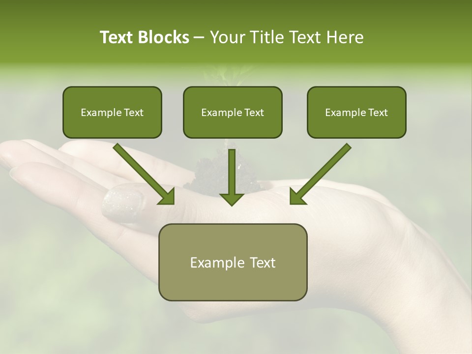 A Person Holding A Small Plant In Their Hand PowerPoint Template