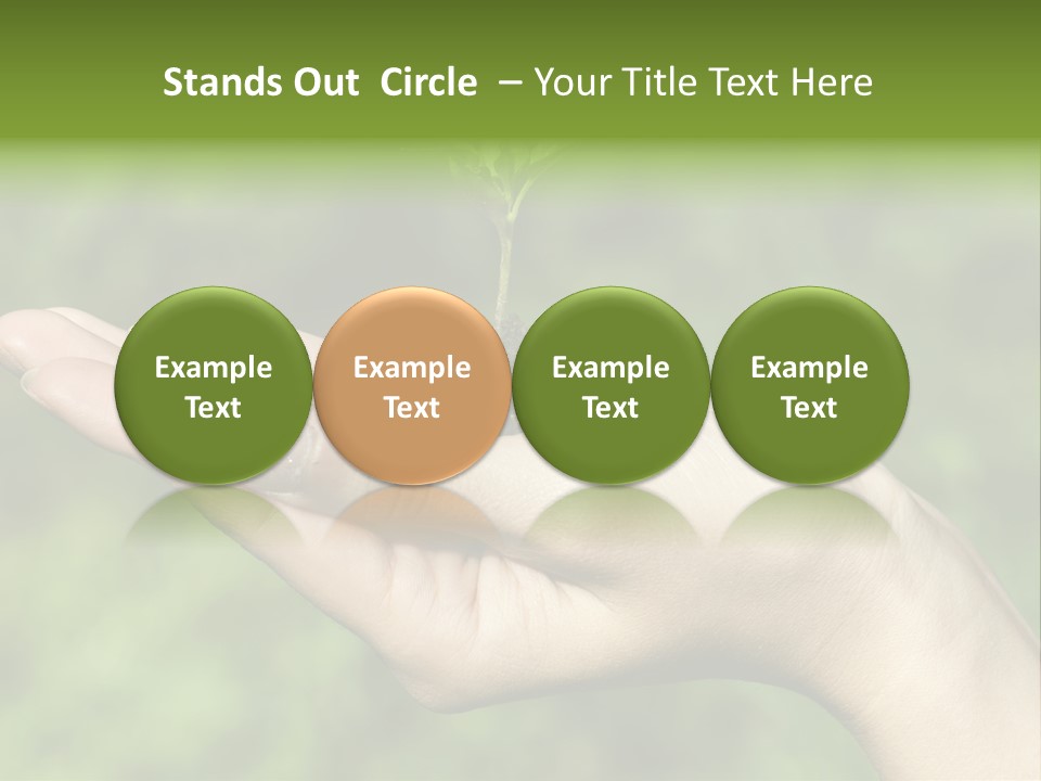A Person Holding A Small Plant In Their Hand PowerPoint Template