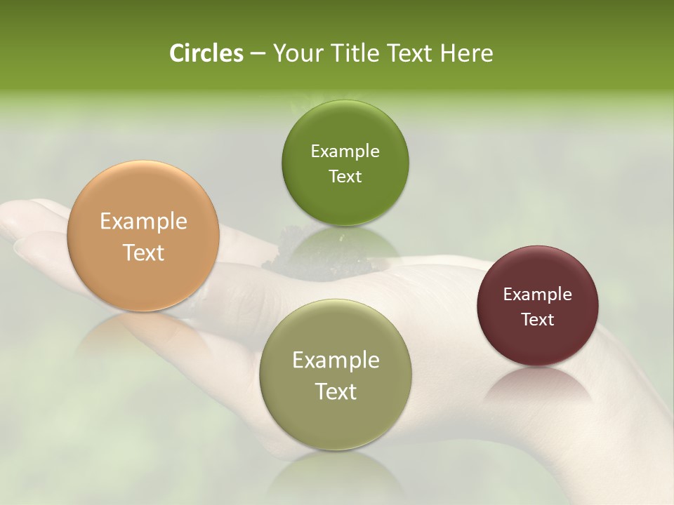 A Person Holding A Small Plant In Their Hand PowerPoint Template