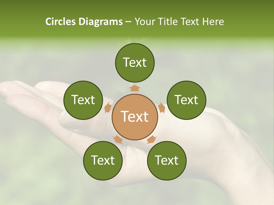 A Person Holding A Small Plant In Their Hand PowerPoint Template