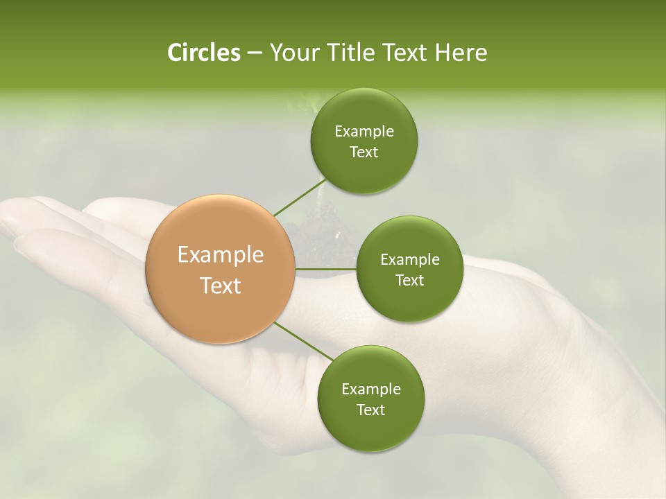 A Person Holding A Small Plant In Their Hand PowerPoint Template