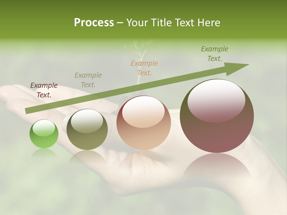 A Person Holding A Small Plant In Their Hand PowerPoint Template