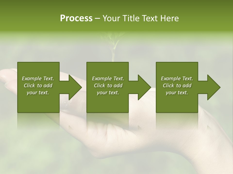 A Person Holding A Small Plant In Their Hand PowerPoint Template