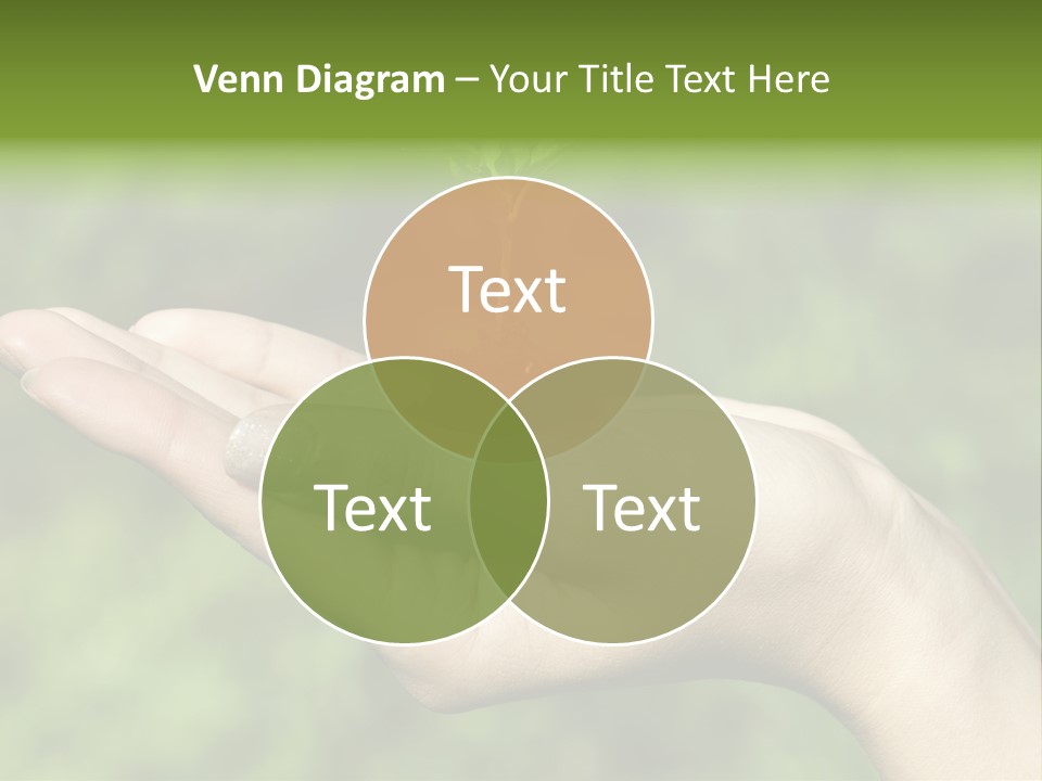 A Person Holding A Small Plant In Their Hand PowerPoint Template