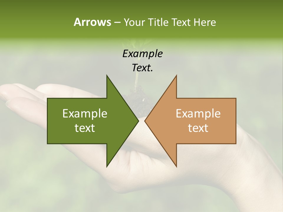 A Person Holding A Small Plant In Their Hand PowerPoint Template