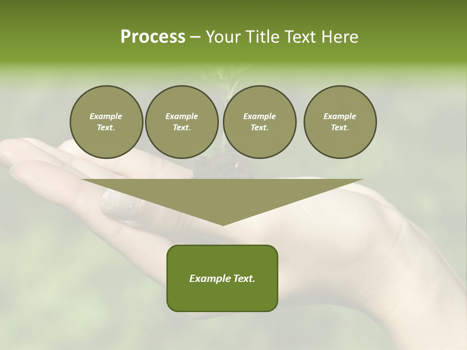 A Person Holding A Small Plant In Their Hand PowerPoint Template