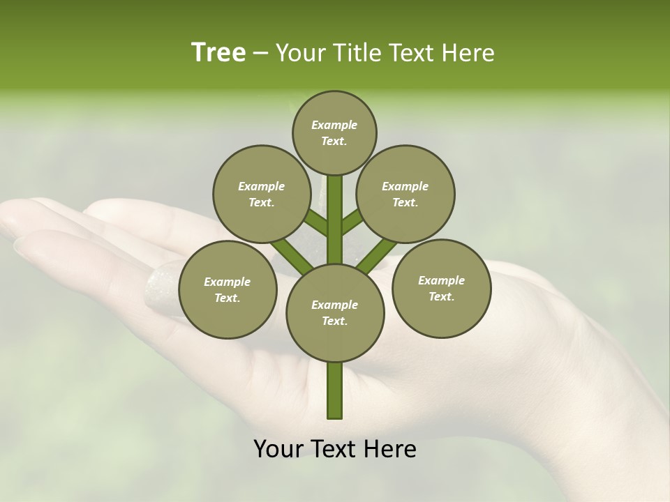 A Person Holding A Small Plant In Their Hand PowerPoint Template