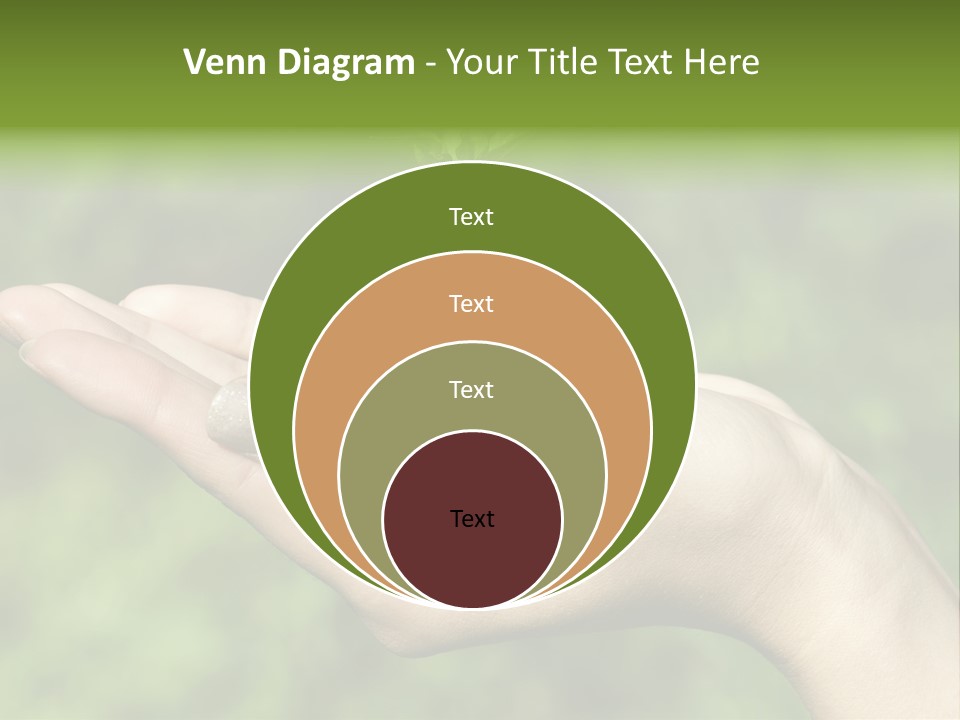 A Person Holding A Small Plant In Their Hand PowerPoint Template